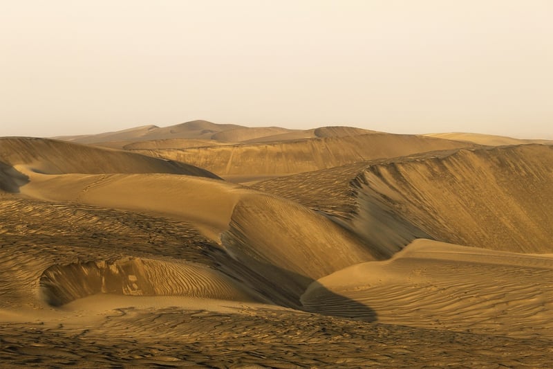 Desert Trekking